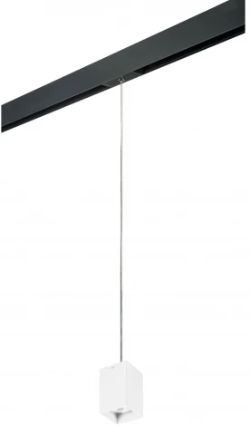 Трековый светильник однофазный 220V Lightstar Rullo PRORP336