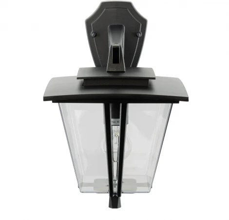 Настенный уличный светильник Citilux Forts CLU10W (220V, IP54)