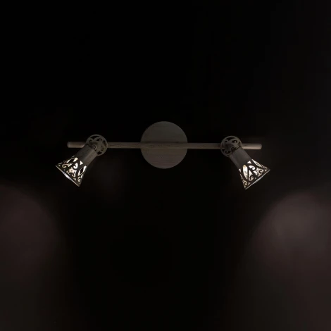 Спот на штанге Citilux Винон CL519525 (220V, круглые)