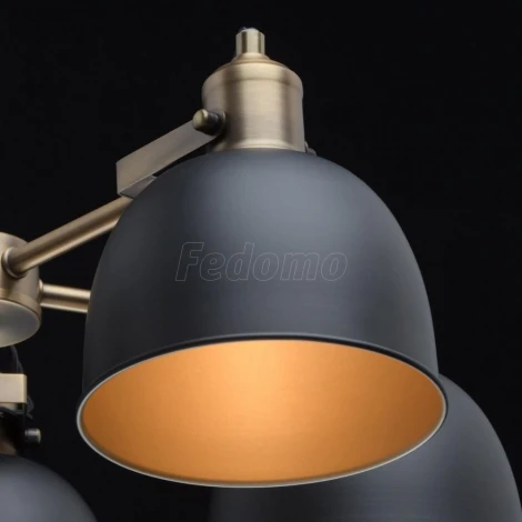 Потолочная люстра MW-Light Вальтер 551011105
