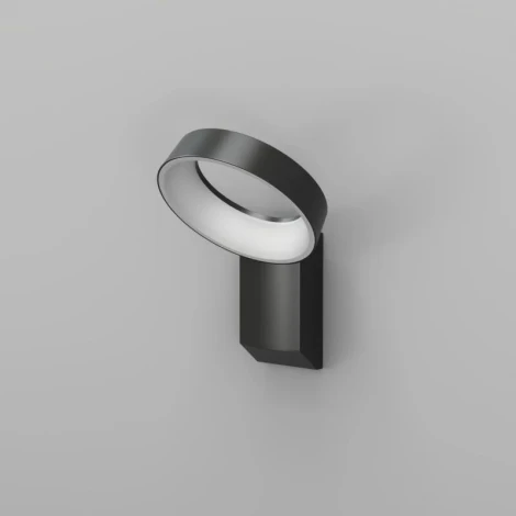 Настенный светодиодный уличный светильник Denkirs Sanvik DK9712-BK (220V, IP65)