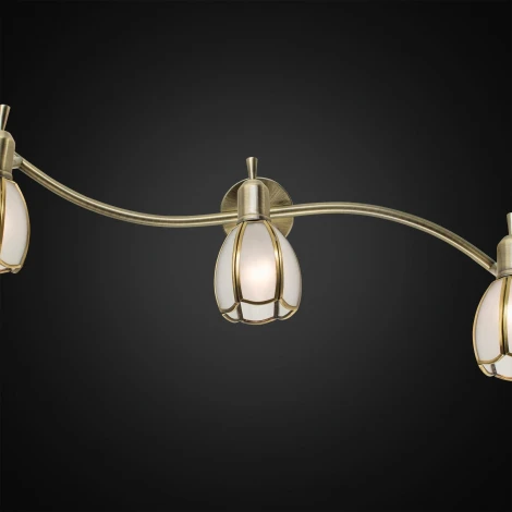 Спот Citilux Альтен-2 CL522631
