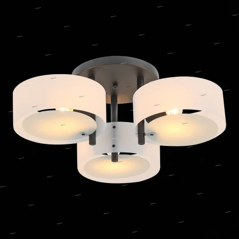 Потолочная люстра ST Luce Foresta SL483.402.03