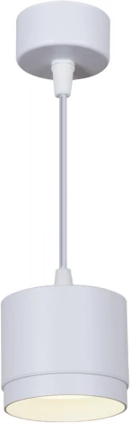 Подвесной светильник Reluce 53007-0.9-001LD GX53 WT (220V, на проводе)