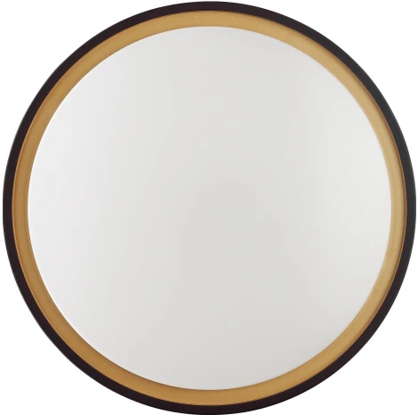 Настенно-потолочный светильник Sonex Klapa 3045/DL