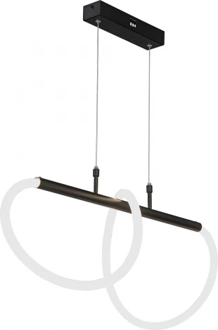 Подвесной светильник с гибким неоном светодиодный LED 72Вт, 3900-4200К Vitaluce V3896-1/1S (220V, на проводе)