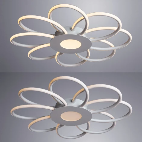 Потолочная люстра Arte Lamp Polli A2528PL-8WH