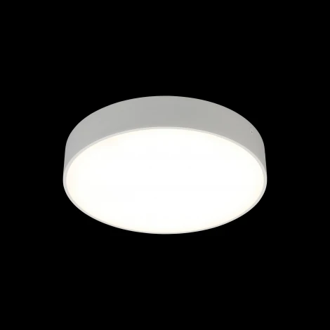 Потолочный светильник круглый Aployt Evon APL.0114.09.24 (LED, 220V, круглые)