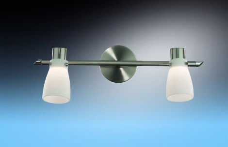 Спот Odeon Light Terza 2066/2W