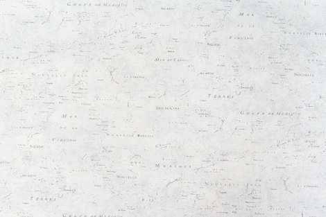 Обои виниловые Артекс Nature Inspiration 10230-05 10,05 x 1,06 м