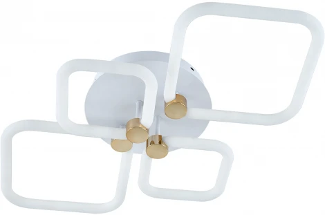 Потолочная люстра светодиодная с ДУ Ritter Ottimo 51616 7