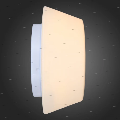 Потолочный светильник ST Luce Adatto SL296.502.02