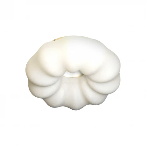 Потолочный светильник с пультом Zortes Soft ZRS.1118.2 (LED, 220V, цветы)