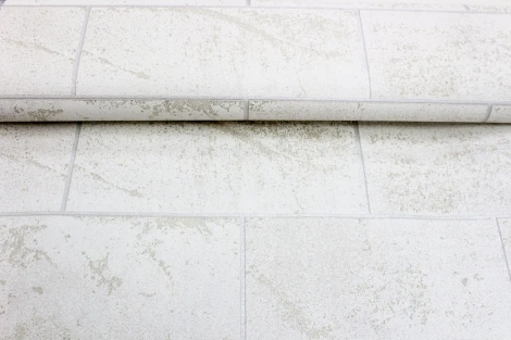 Обои виниловые Erismann Millennium 60016-02 10,05 x 1,06 м