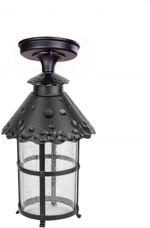 Потолочный светильник уличный Oasis Light CAIOR 1 81505A Bl (220V, фонарь, IP44)