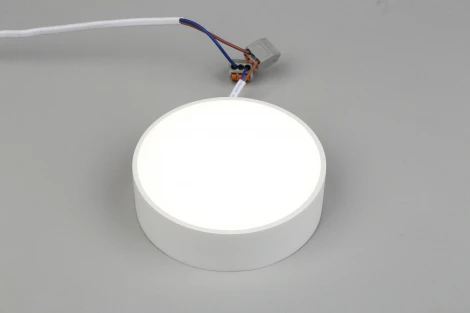 Потолочный светильник круглый Aployt Evon APL.0114.09.12 (LED, 220V, круглые)