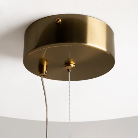 Подвесной светильник с гибким неоном Maytoni Oasis MOD289PL-L53BS3K (LED, 220V, на тросе)