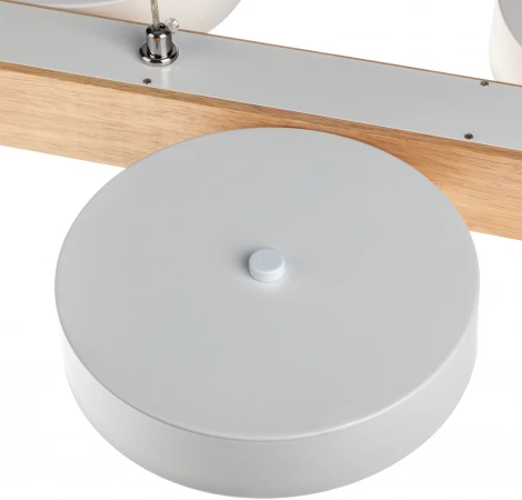 Подвесной светильник светодиодный Ritter Racemo 51608 2