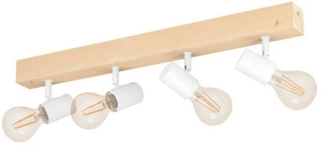 Спот Eglo Townshend 3 99485