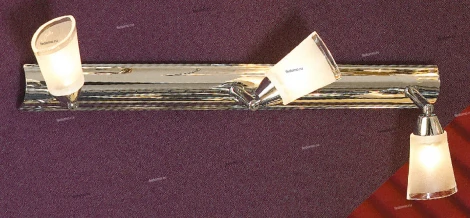 Настенно-потолочный светильник Lussole Rasen LSL-5091-03