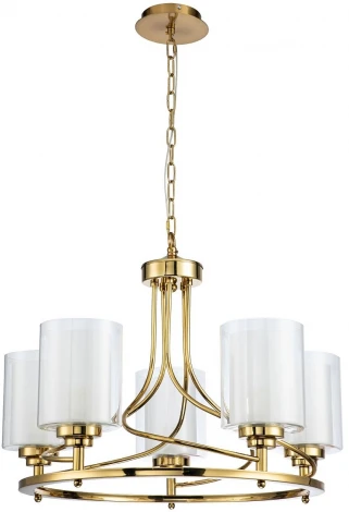 Подвесная люстра Favourite Plexus 2963-5P