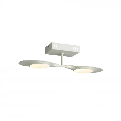 Настенно-потолочный светильник ST Luce Farfalo SL824.501.02