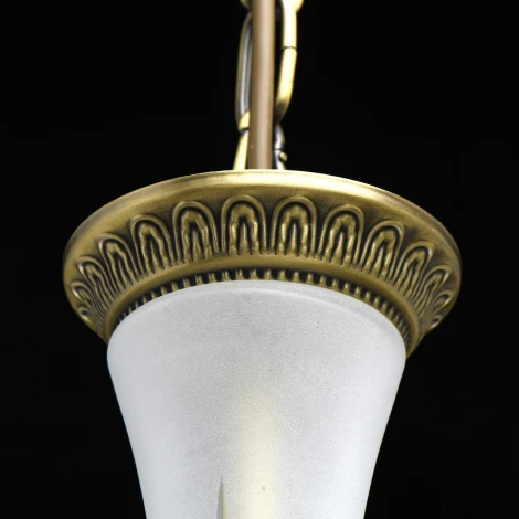 Подвесная люстра MW-Light Афродита 317014808