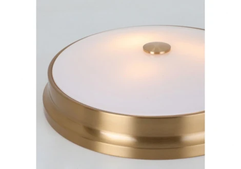 Потолочный светильник круглый Favourite Pannikin 2375-3C (220V, круглые)