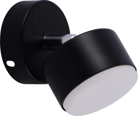 Настенно-потолочный спот Rivoli Alesta 7079-701 1хGX53 15 Вт поворотный