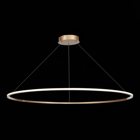 Подвесной светильник ST Luce St604 Out ST604.243.57 (LED, 220V, на тросе, кольцо)