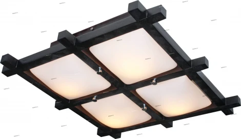 Потолочный светильник Дубравия Дина 192-41-24