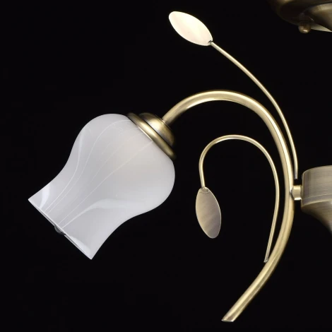 Потолочная люстра MW-Light Флора 256018103