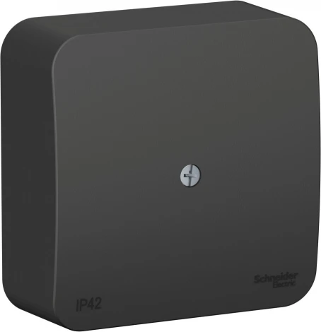 Распределительная коробка (антрацит) IP42 Systeme Electric Blanca BLNRK000016