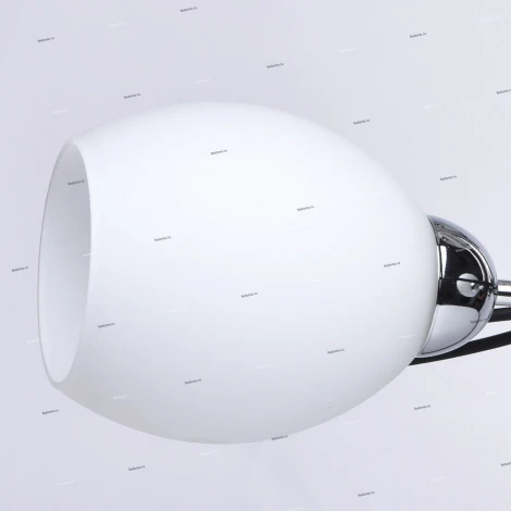 Потолочная люстра MW-Light Альфа 324013503