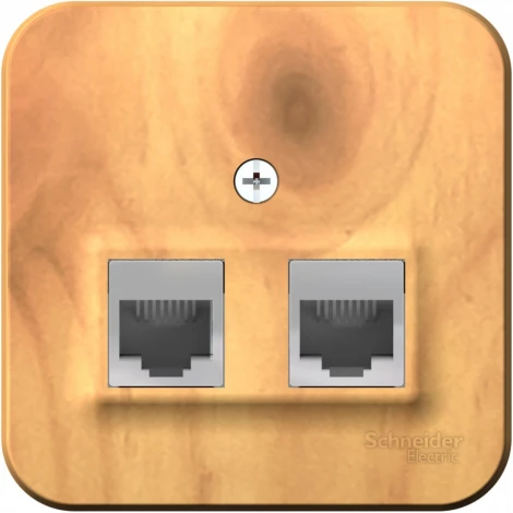 Розетка накладная телефонная RJ-11 + Ethernet RJ-45 (ясень) Systeme Electric Blanca BLNIA045115