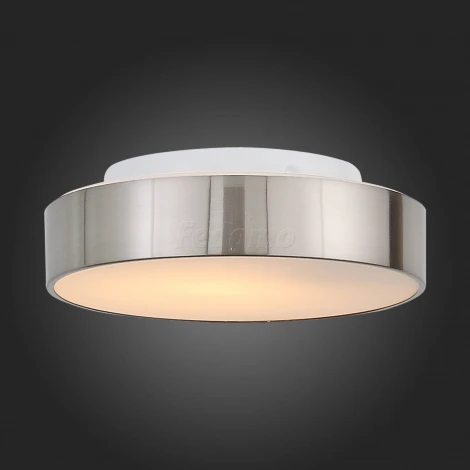 Настенно-потолочный светильник ST Luce Bagno SL468.502.01