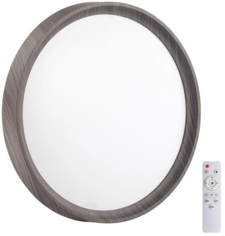 Настенно-потолочный светильник Woodi 7627/DL Sonex (регулировка яркости, LED, 220V, пульт управления, круглые, IP43)