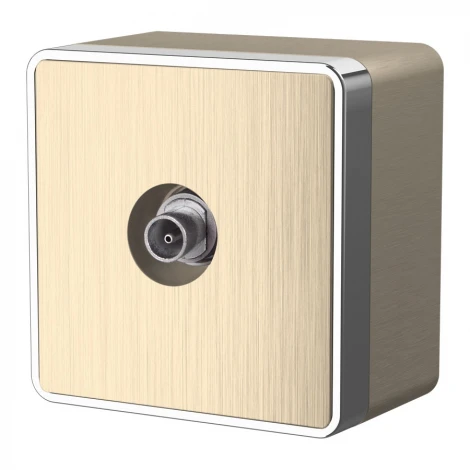 ТВ-розетка оконечная Gallant (шампань рифленый) Werkel W5083010 (a051036)