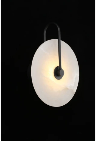 Настенный светильник Aployt Zhulen APL.322.11.05 (LED, 220V, круглые)