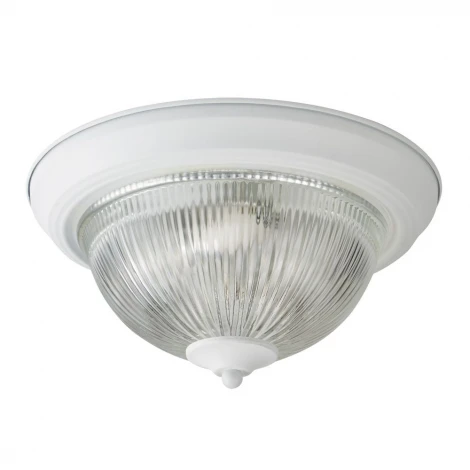 Потолочный светильник Arte Lamp Aqua-plate A9370PL-2WH