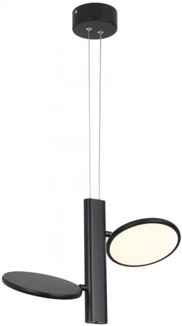 Подвесной светильник Lussole Aberdeen LSP-7084 (LED, 220V, на тросе, круглые, IP21)