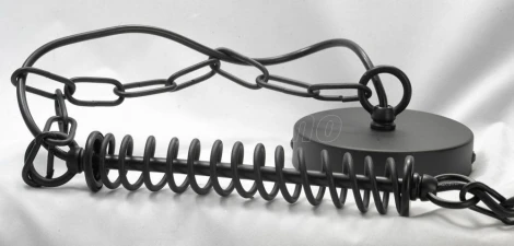 Подвесной светильник Lussole Loft Buffalo GRLSP-9989