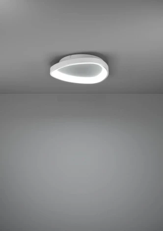 Потолочный светильник светодиодный Eglo Loretello 901583 12W(LED), пластик, сталь, белый, 2700-6500K