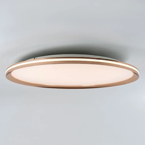 Потолочный светильник светодиодный с пультом с регулировкой цветовой температуры LED4U LED4U L3020-600 GD