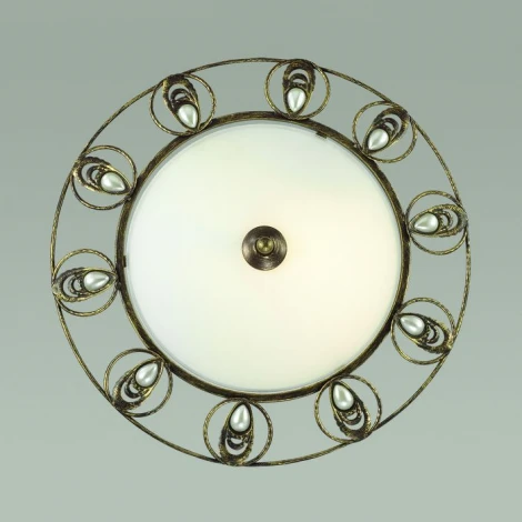 Настенно-потолочный светильник Odeon Light Kanti 3484/3C