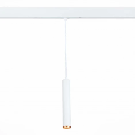 Трековый светильник магнитный ST Luce St659 ST659.593.10 (LED, 220V, круглые)