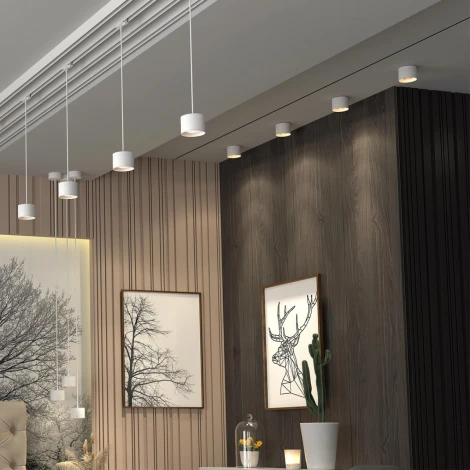 Накладной точечный светильник Novotech Over 358651 (LED, 220V, круглые)