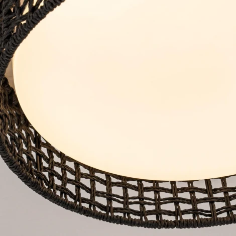 Потолочный светильник круглый LED F-Promo Conrad 4750-4C (регулировка яркости, 220V, пульт управления, круглые)