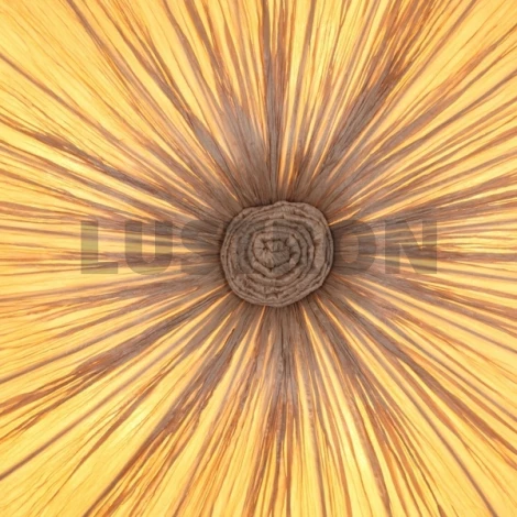 Потолочный светильник ST Luce Tessile SL351.072.05
