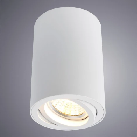 Накладной точечный светильник Arte Lamp Sentry A1560PL-1WH (220V)